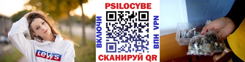 мега вход Сосновый Бор Псилоцибиновые грибы мицелий