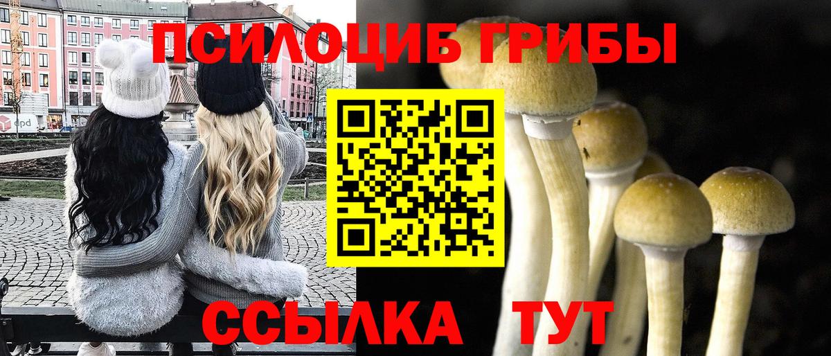 Псилоцибиновые грибы ЛСД Сосновый Бор