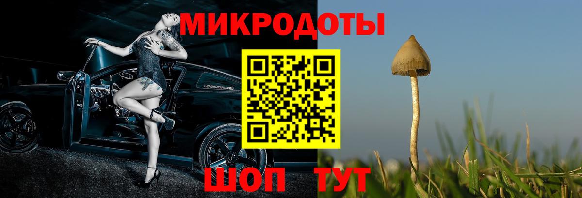 Сосновый Бор  даркнет сайт  Псилоцибиновые грибы мухоморы  Вход с VPN  Псилоцибиновые грибы Psilocybine cubensis 